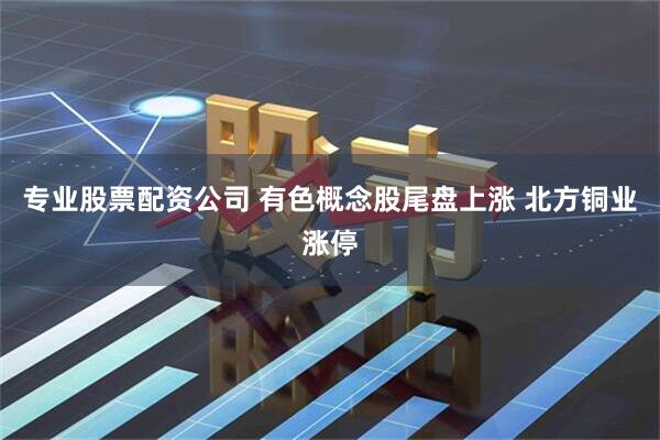 专业股票配资公司 有色概念股尾盘上涨 北方铜业涨停